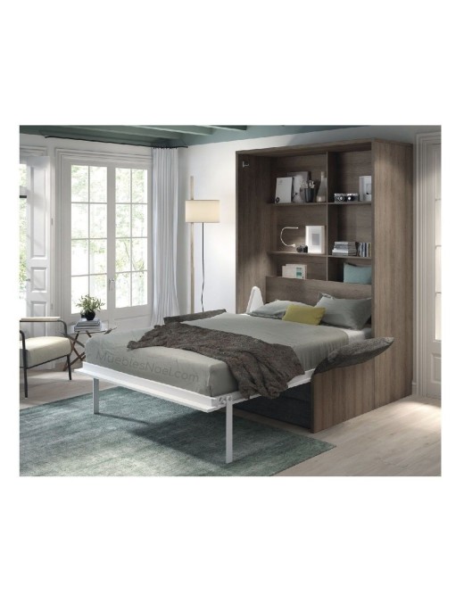 Cama abatible abierta con librería y sofá debajo.