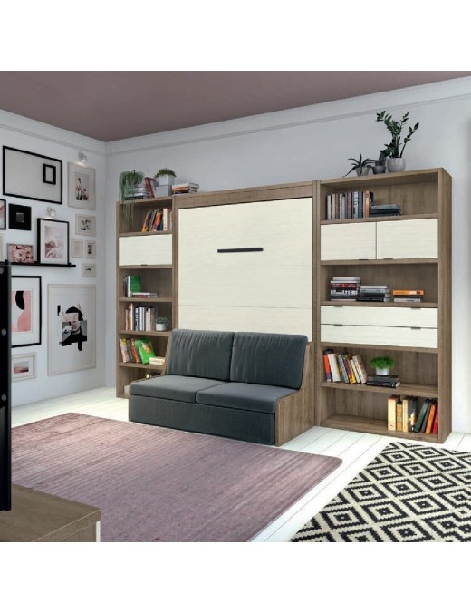Librería con cama abatible en la pared y sofá delante.