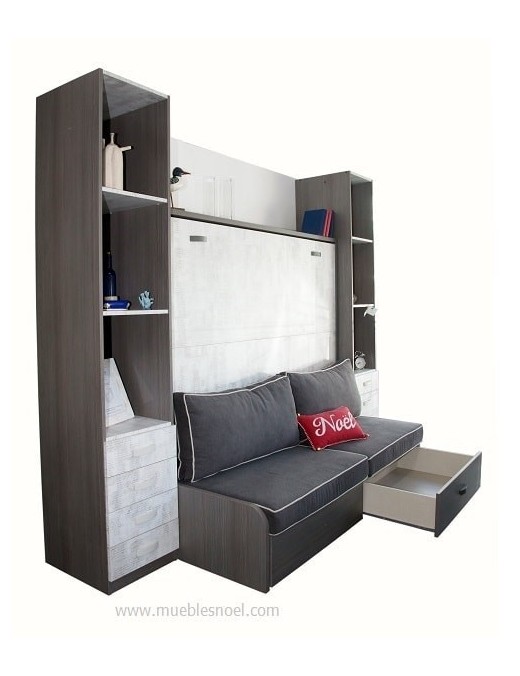 Liquidación con sofá y librerías