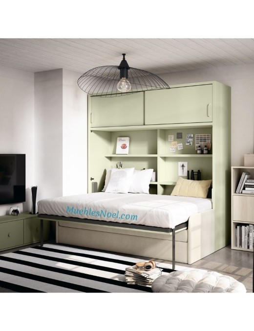 Mueble cama con sofá delante,