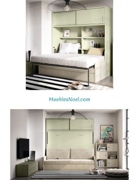 Mueble cama con sofá delante,