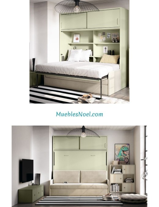 Mueble cama con sofá delante,