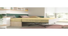 Camanido El Mamut Madrid .