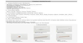 Caracteristicas Cama Abatible Vertical con Sofá y Arcón | Muebles Noel Madrid Palos de Moguer