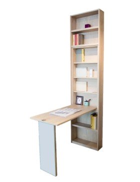 Librería con espejo y mesa plegable.